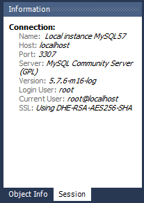 Connection: Name, Host, Port, Server, Version, Login User, Current User, and SSL.