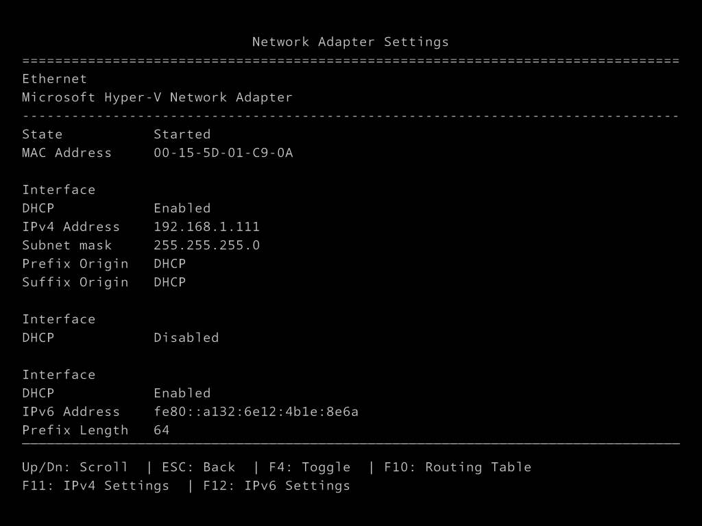 Nano Server Recovery Console Network Adapter Settings showing IPv4 address 192.168.1.111