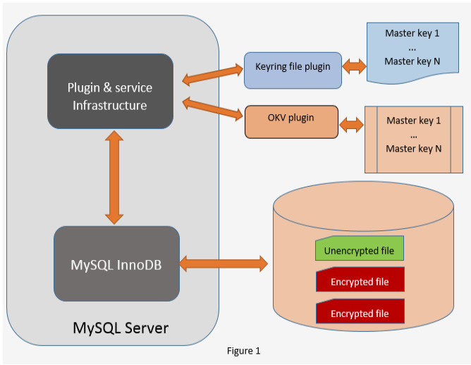 mysql enterprise transparent data encryption