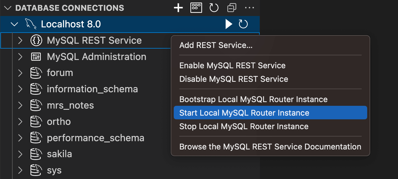 Bootstrap and Start MySQL Router