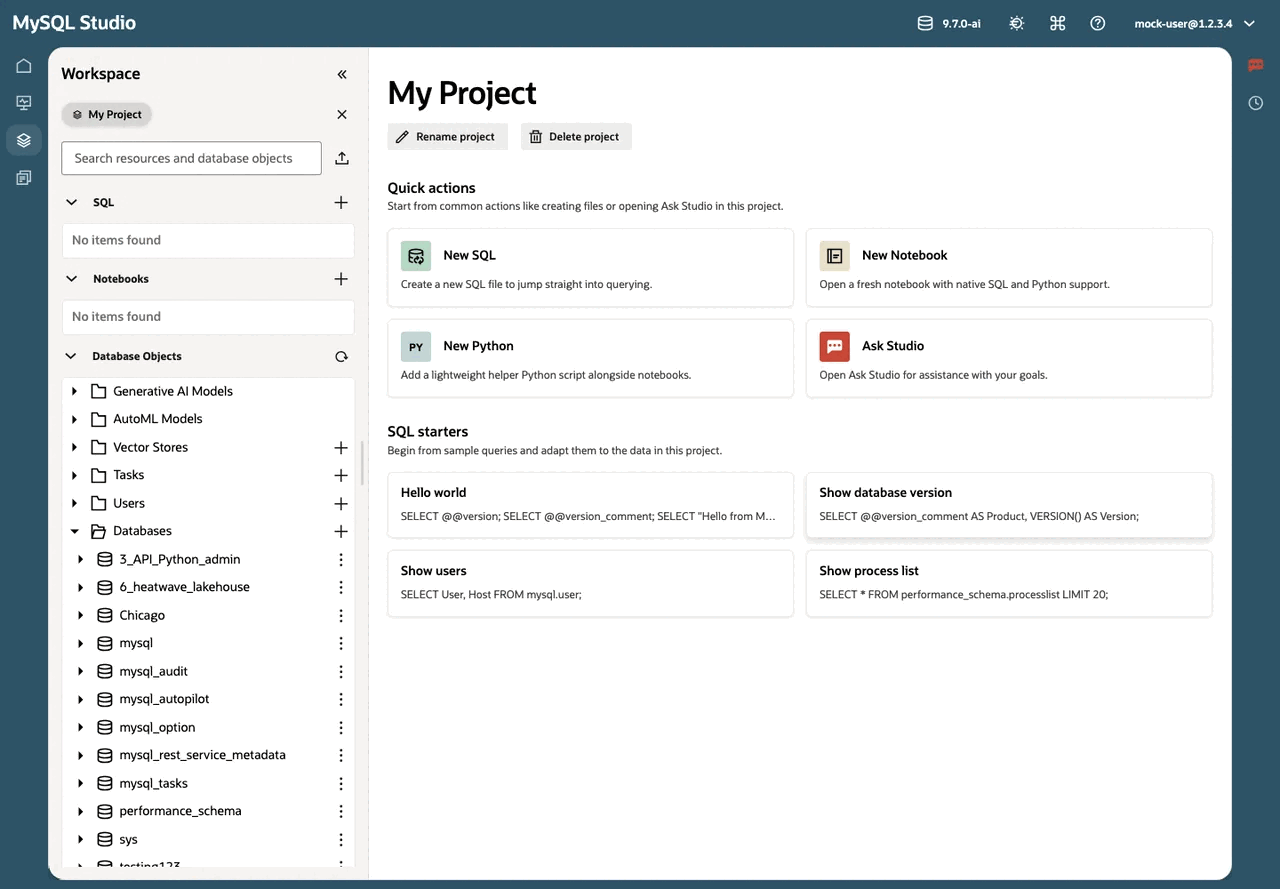 Workspace project page with file browser, database objects, and quick actions