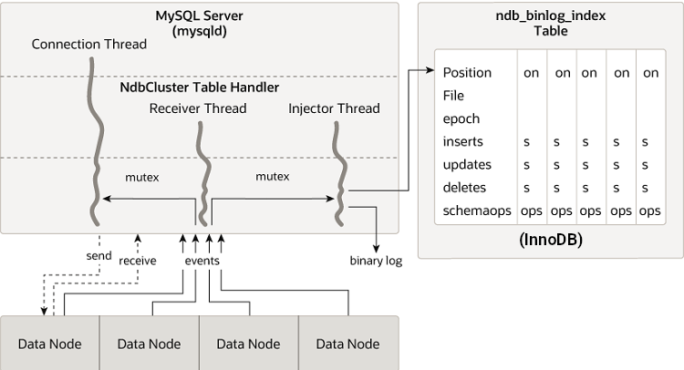 Mysql Mysql Ndb Cluster Ndb Cluster Replication Schema And Tables