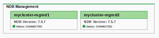 Example of an NDB Management node.