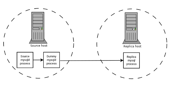 The replication source server uses a source mysqld process and a dummy mysqld process. On the replica, the mysqld process replicates from the dummy mysqld process.