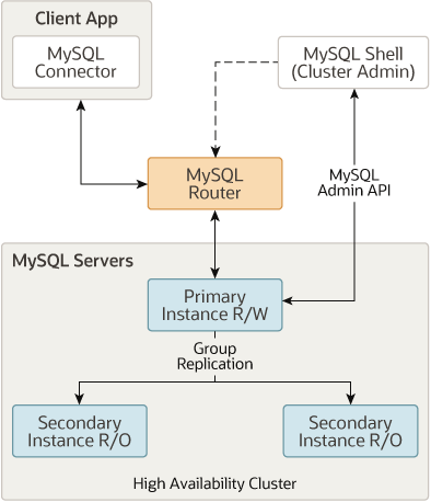 Three MySQL servers are grouped together as a high availability cluster. One of the servers is the read/write primary instance, and the other two are read-only secondary instances. Group Replication is used to replicate data from the primary instance to the secondary instances. MySQL Router connects client applications (in this example, a MySQL Connector) to the primary instance.